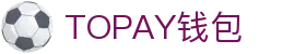 TOPAY钱包 - 安全便捷的个人财务管理工具"